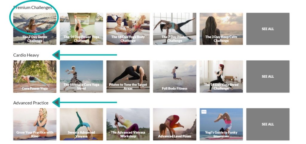 Do You Yoga online yoga classes demo.