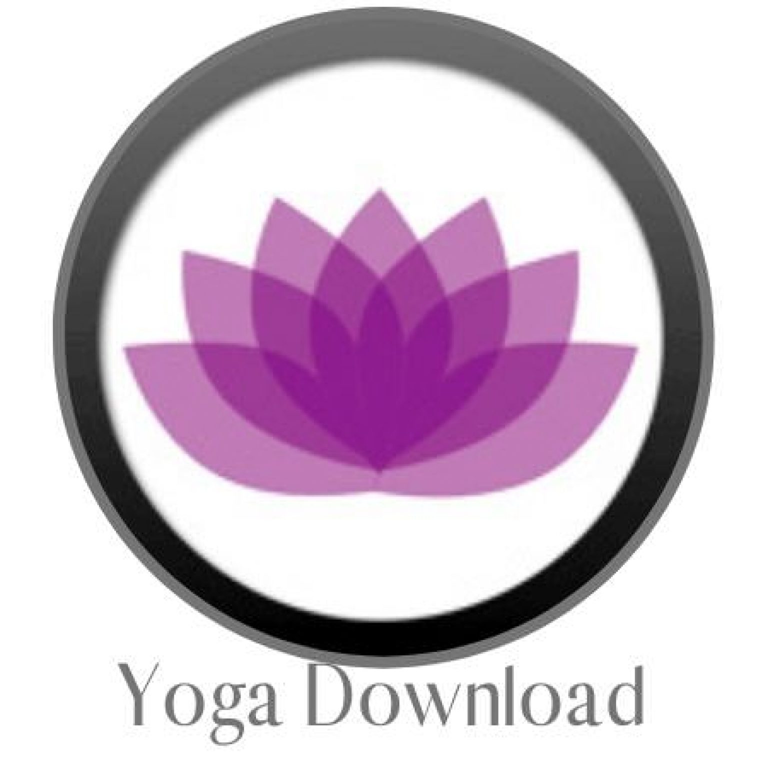 12 Best Virtual Online Yoga Membership Subscriptions Best Online Yoga