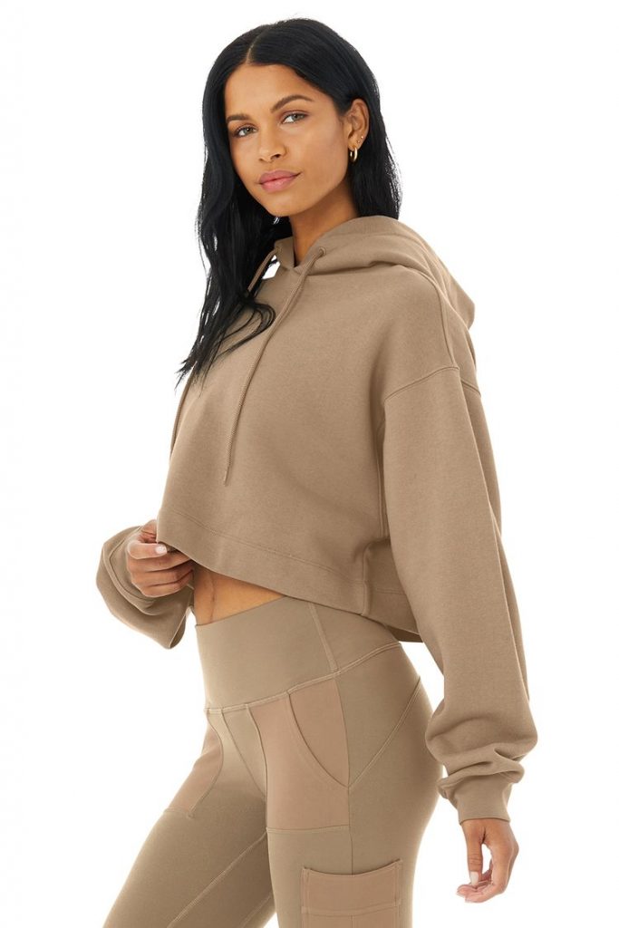 Alo yoga 2025 cropped hoodie