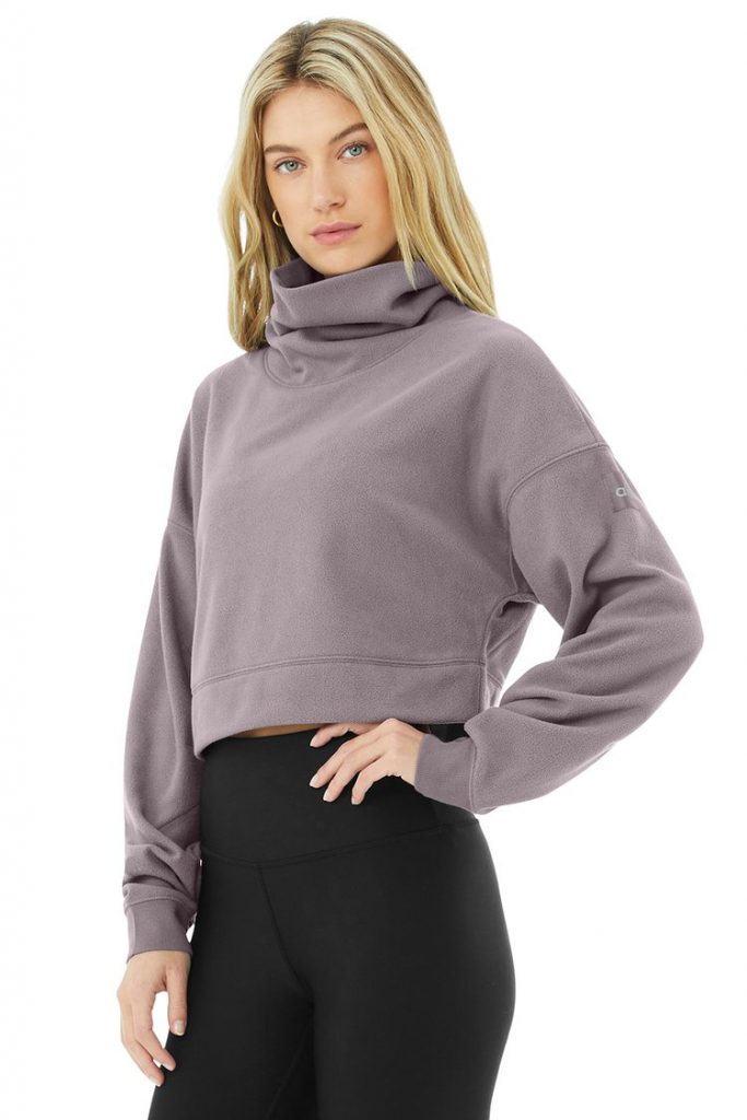 ALO Yoga, Tops, Alo Bae Cropped Sweatshirt Hoodie