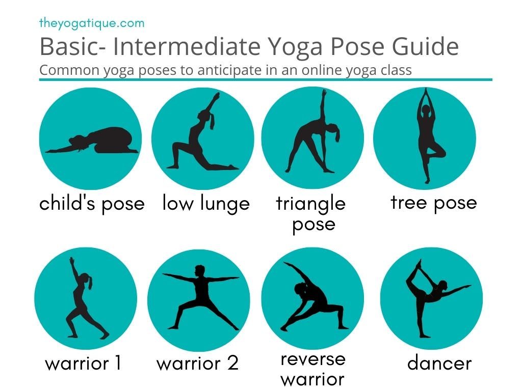 Basic yoga pose guide for a morning yoga routine 1. child's pose 2. low lunge 3. triangle pose 4. tree pose 5. warrior 1 6. warrior 2 7. reverse warrior 8 dancer