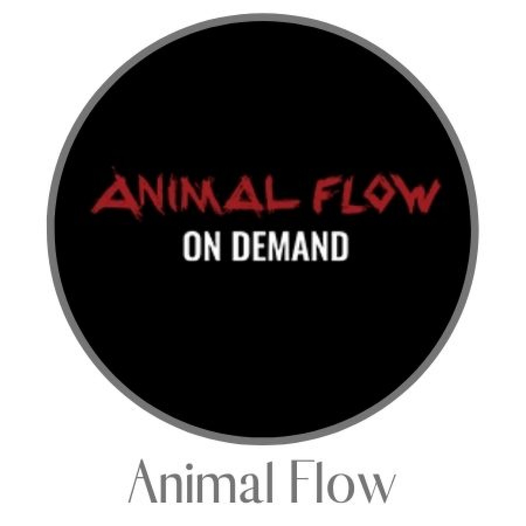 Animal Flow Review Learn To Move Your Body In A Whole New Way