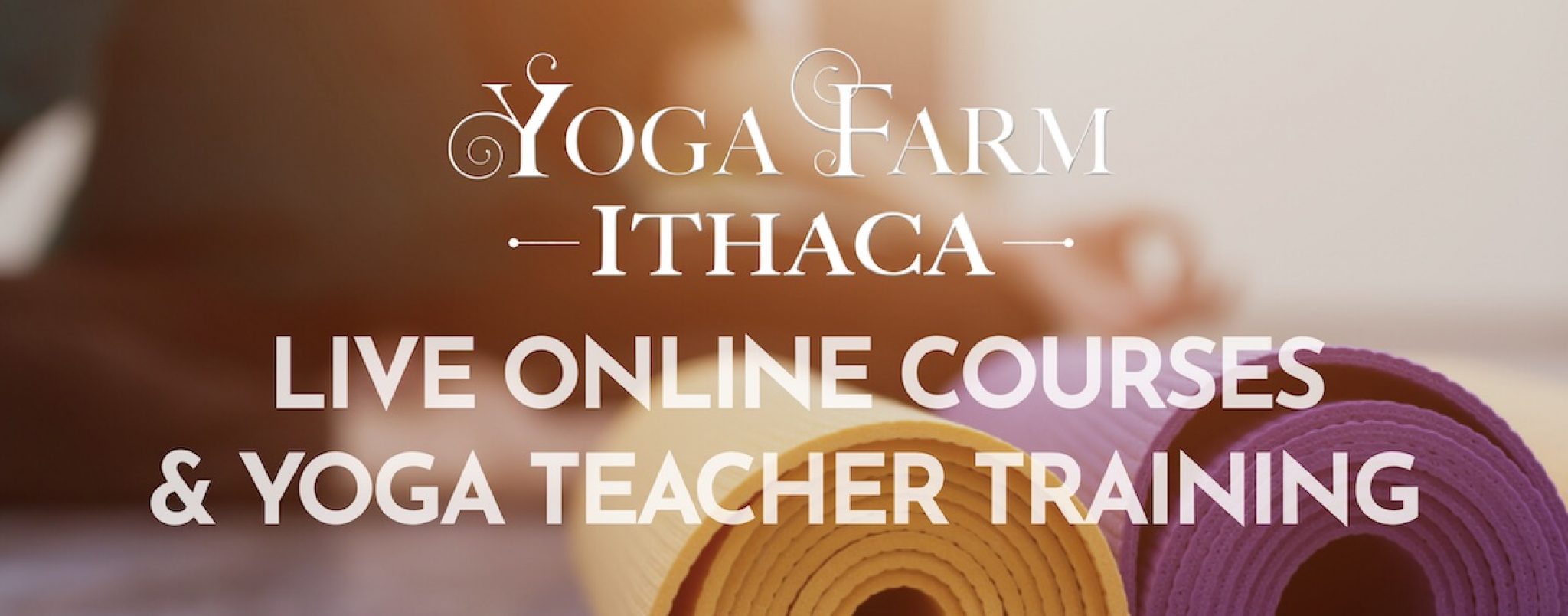 Everything You Need To Know About Yoga Farm Ithaca's 4 Amazing 200hr And 300hr Online YTT