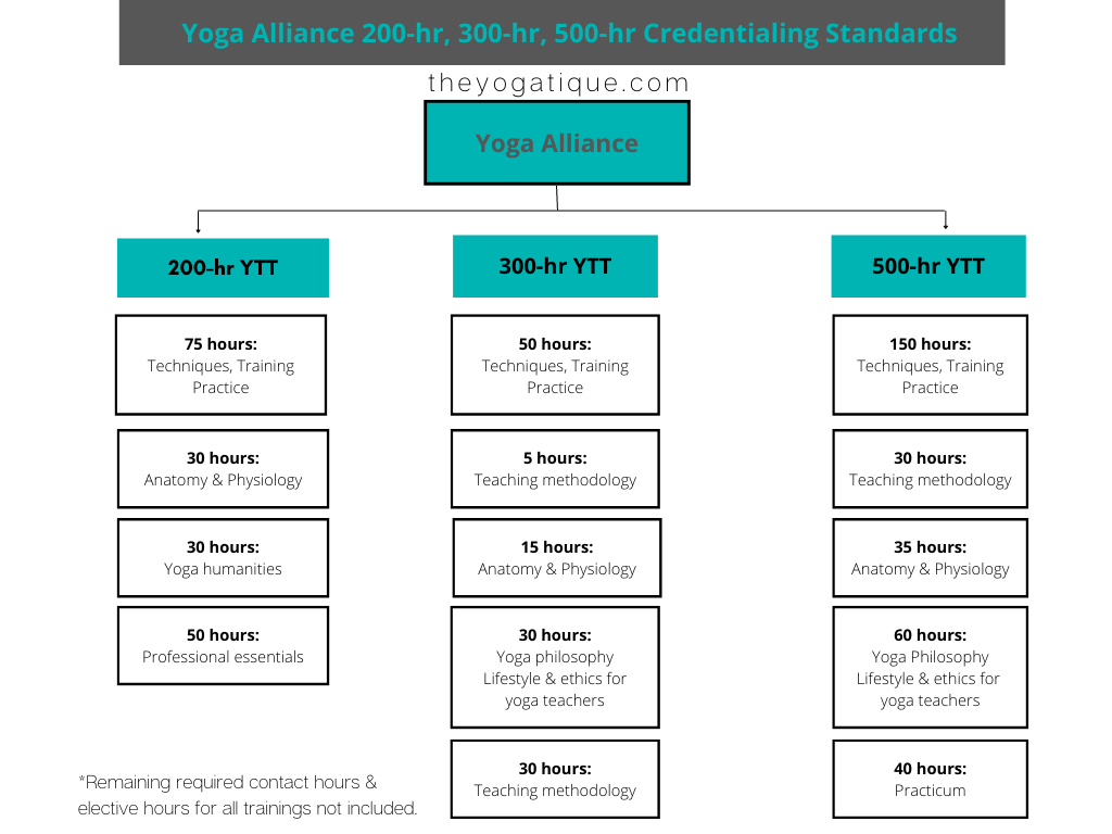 Yoga Alliance 200-hr, 300-hr, 500-hr yoga teacher training requirements infographic. Image describes how many hours of study are required for each area of study in yoga teacher training.