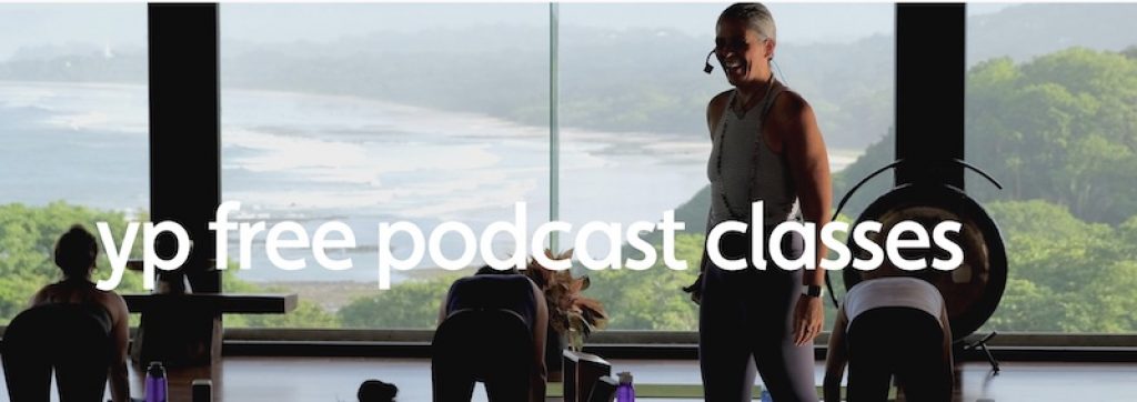 Beyond Yoga Teacher Training (podcast) - Sandy Raper