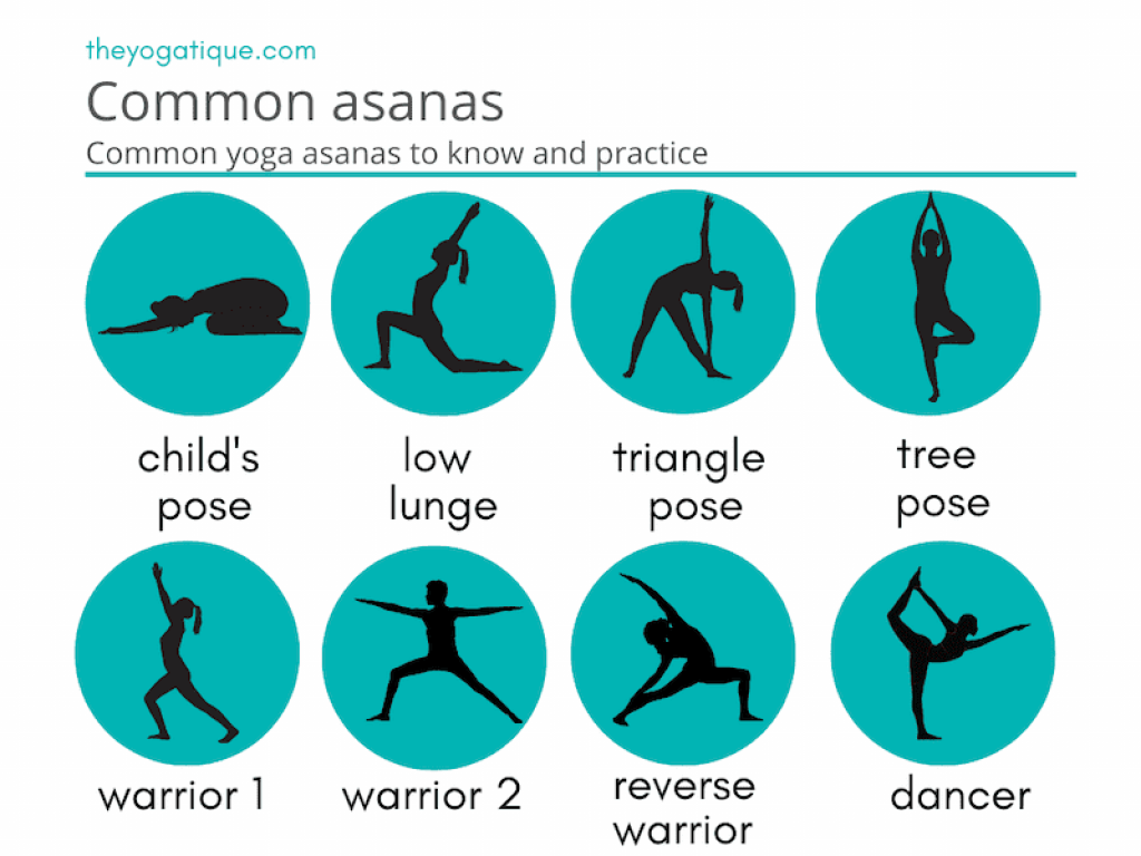 What Does Asana Mean? The English Meaning & Definition Of This Yoga  Sanskrit Term Revealed