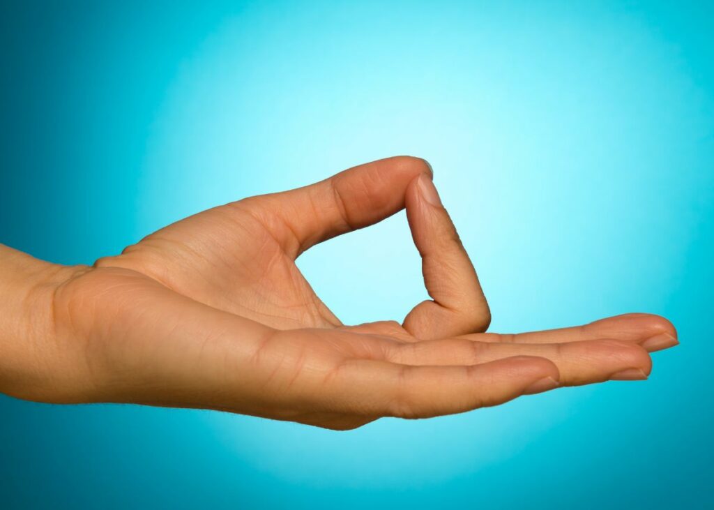 Gyan mudra.