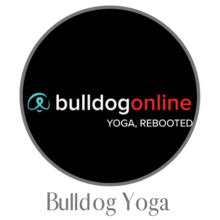 Bulldog Yoga Review – Discover Why Bulldog Yoga Is So Popular