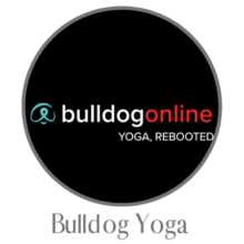 Bulldog Yoga Review: Discover Why Bulldog Yoga Is So Popular