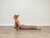 How To Do Cobra Pose + Modifications & Misalignments